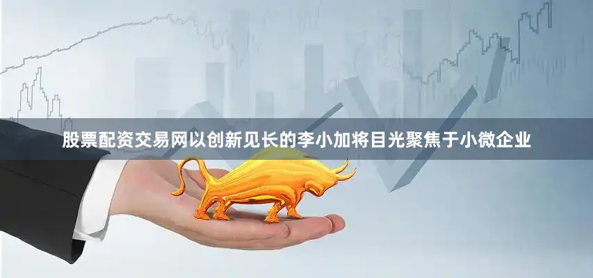 股票配资交易网以创新见长的李小加将目光聚焦于小微企业