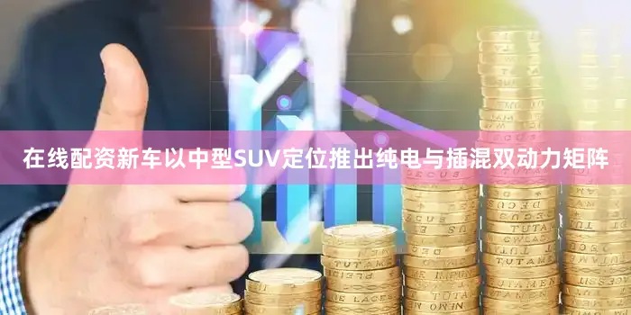 在线配资新车以中型SUV定位推出纯电与插混双动力矩阵