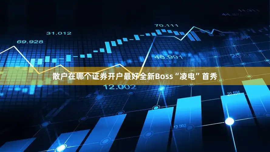 散户在哪个证券开户最好全新Boss“凌电”首秀